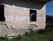 7817-8011
