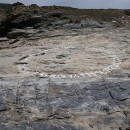 16067-16187